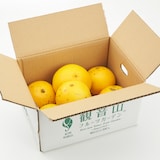 和歌山県産　観音山フルーツガーデンの「グレープフルーツ」家庭用・約３ｋｇ