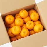 愛媛県西宇和産「ポンカン」家庭用サイズ混合　約３ｋｇ