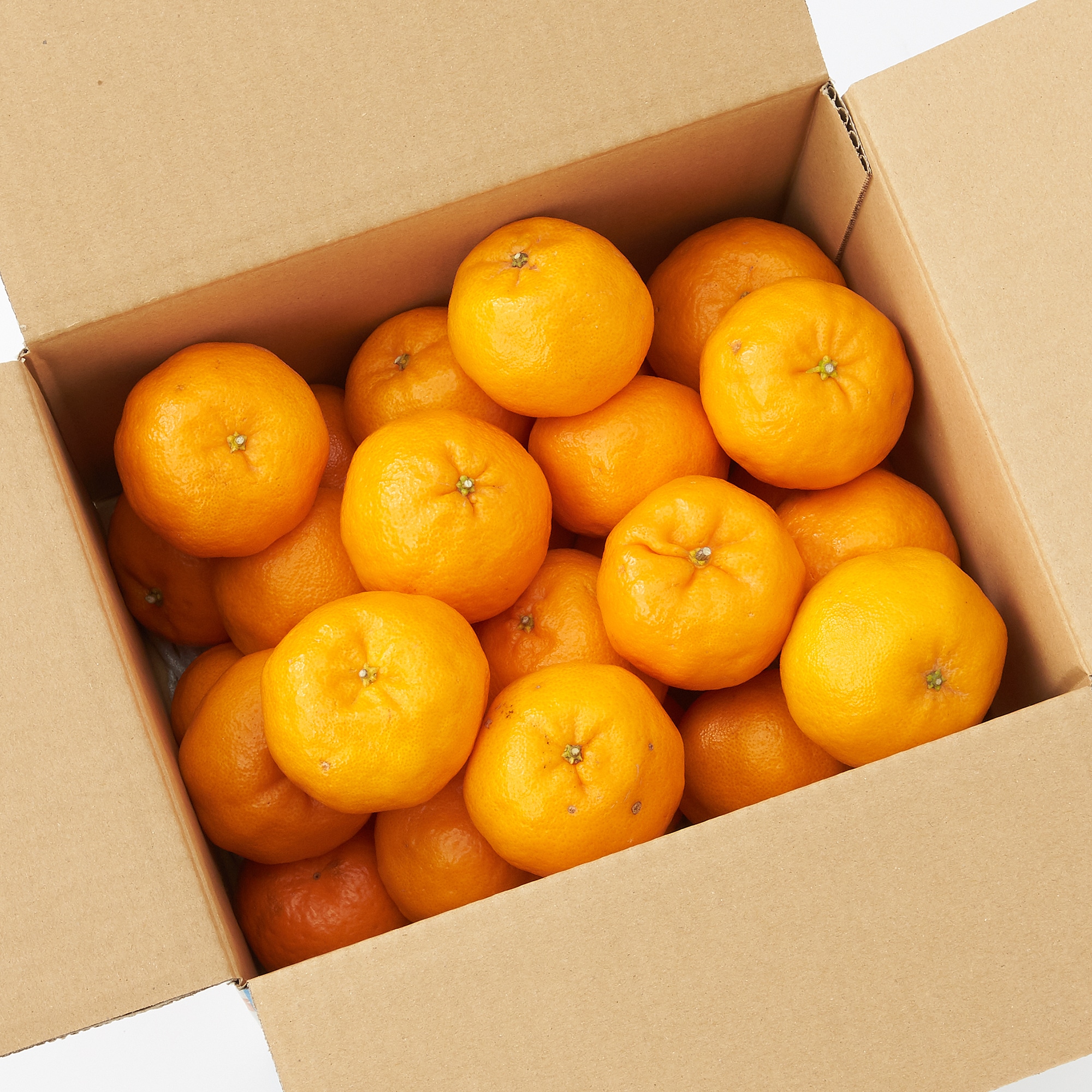 愛媛県西宇和産「ポンカン」家庭用サイズ混合　約３ｋｇ