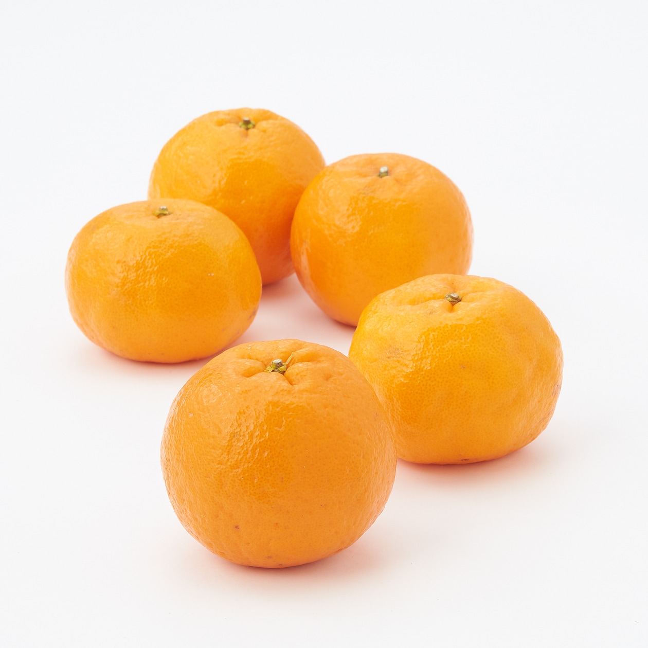 愛媛県西宇和産「ポンカン」家庭用サイズ混合　約３ｋｇ