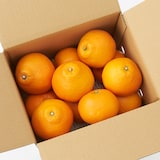 愛媛県西宇和産「いよかん」家庭用サイズ混合・約２.5ｋｇ