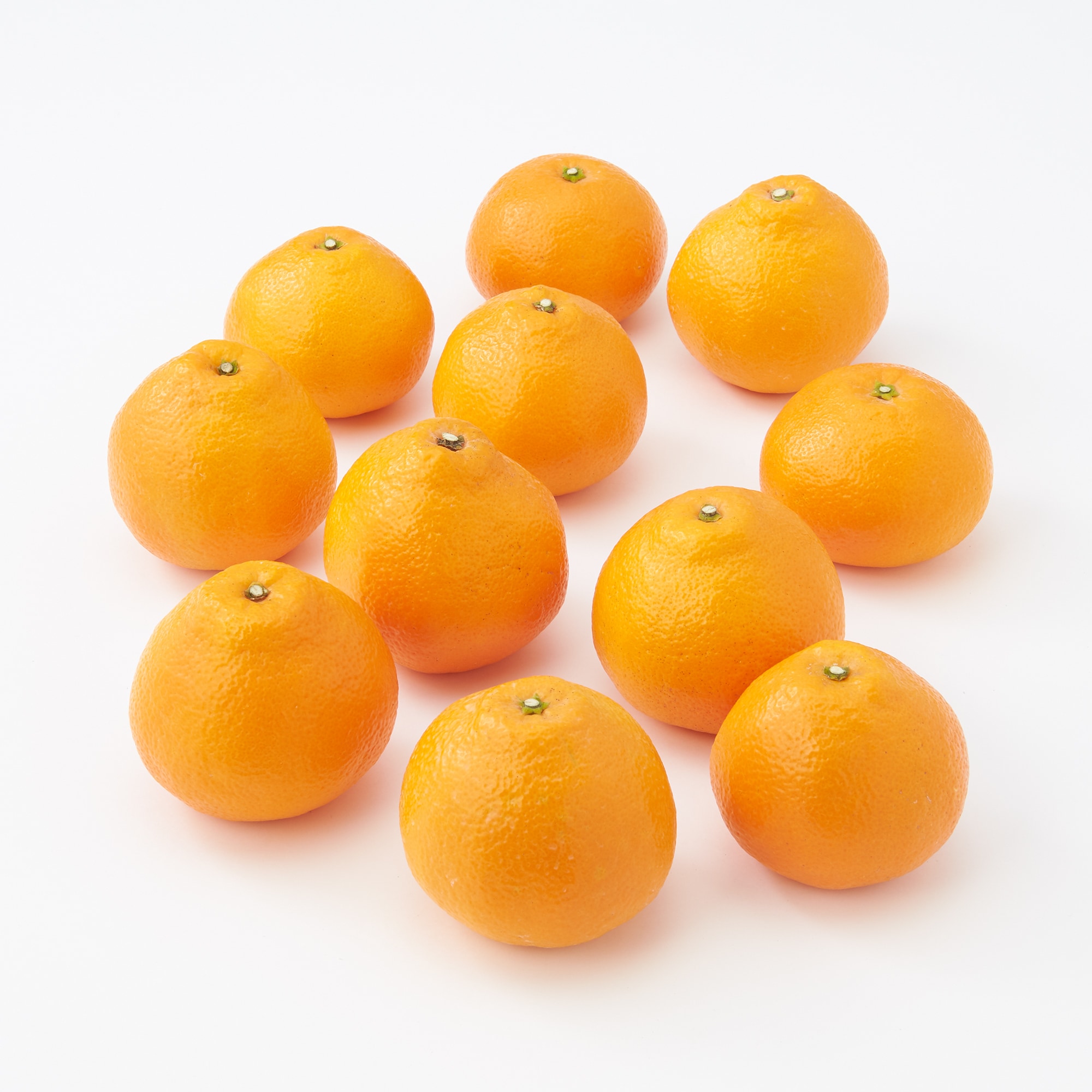 愛媛県西宇和産「いよかん」家庭用サイズ混合・約２.5ｋｇ