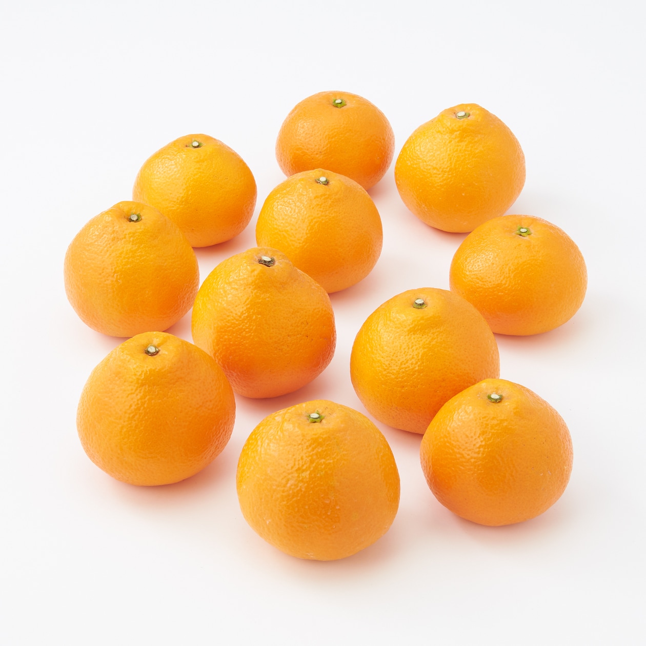 愛媛県西宇和産「いよかん」家庭用サイズ混合・約２.5ｋｇ