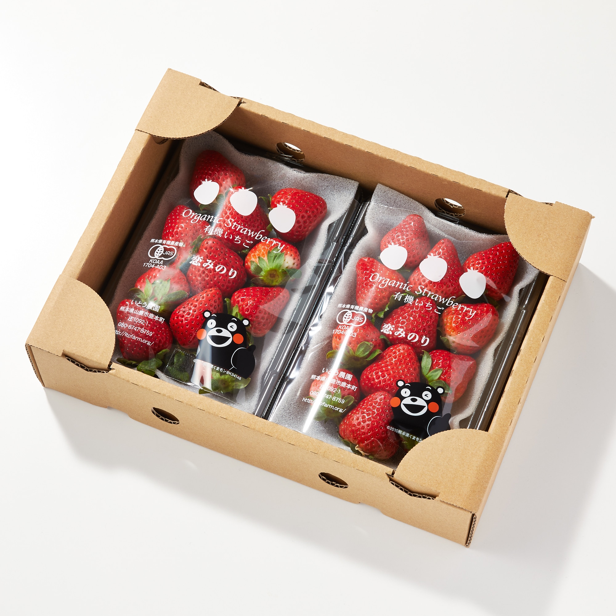 熊本県産　いとう農園の有機いちご「恋みのり」　約２５０ｇ×２パック　※有機JAS認証