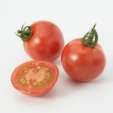 茨城県産　小菅農園のミニトマト２種セット　約１ｋｇ