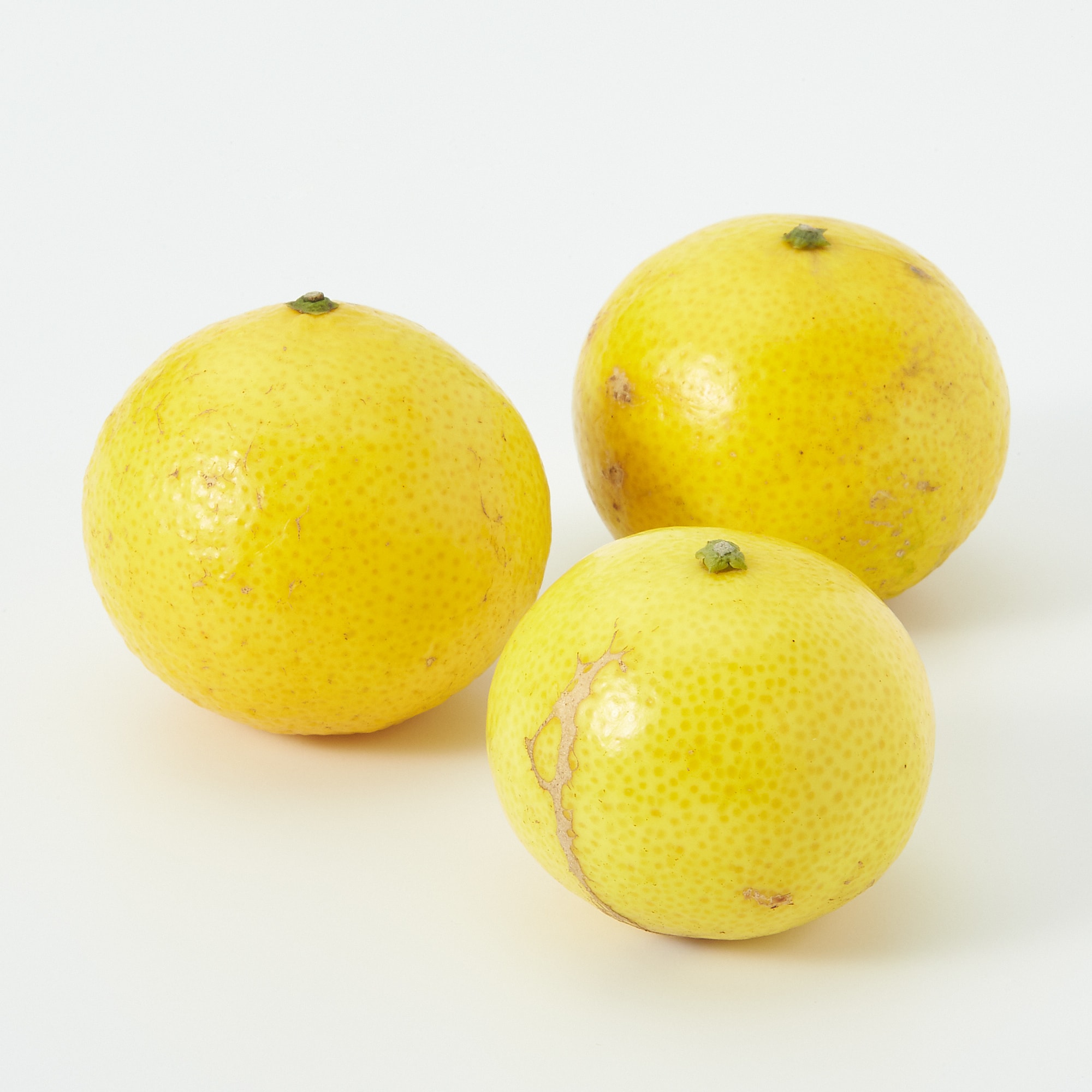 神奈川県産　香実園の「湘南ゴールド」家庭用・約２ｋｇ