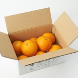 和歌山県産　観音山フルーツガーデンの「紀ノ川ネーブル」　家庭用・約３ｋｇ