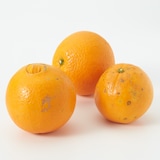 和歌山県産　観音山フルーツガーデンの「紀ノ川ネーブル」　家庭用・約３ｋｇ