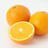 和歌山県産　観音山フルーツガーデンの「紀ノ川ネーブル」　家庭用・約３ｋｇ