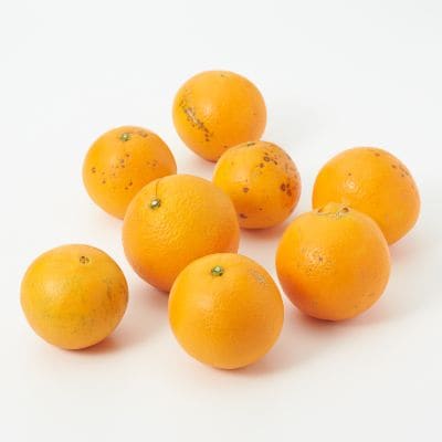 和歌山県産　観音山フルーツガーデンの「紀ノ川ネーブル」　家庭用・約３ｋｇ