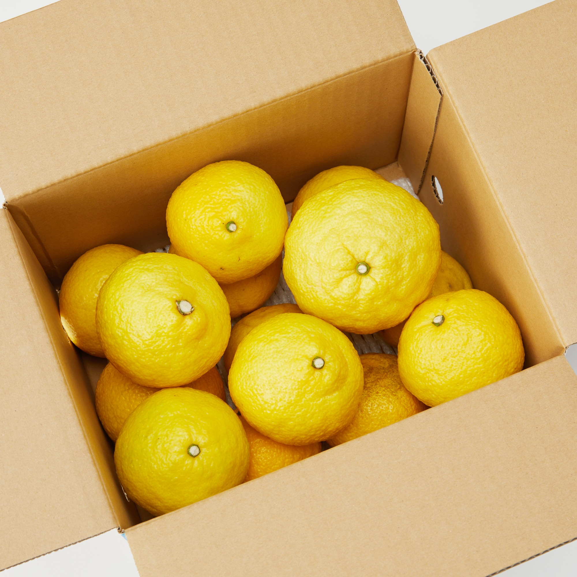 愛媛県西宇和産「はるか」家庭用サイズ混合・約２．５ｋｇ