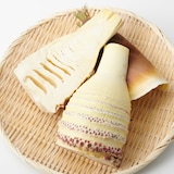 高知県産　朝採りたけのこ 約1.5ｋｇ