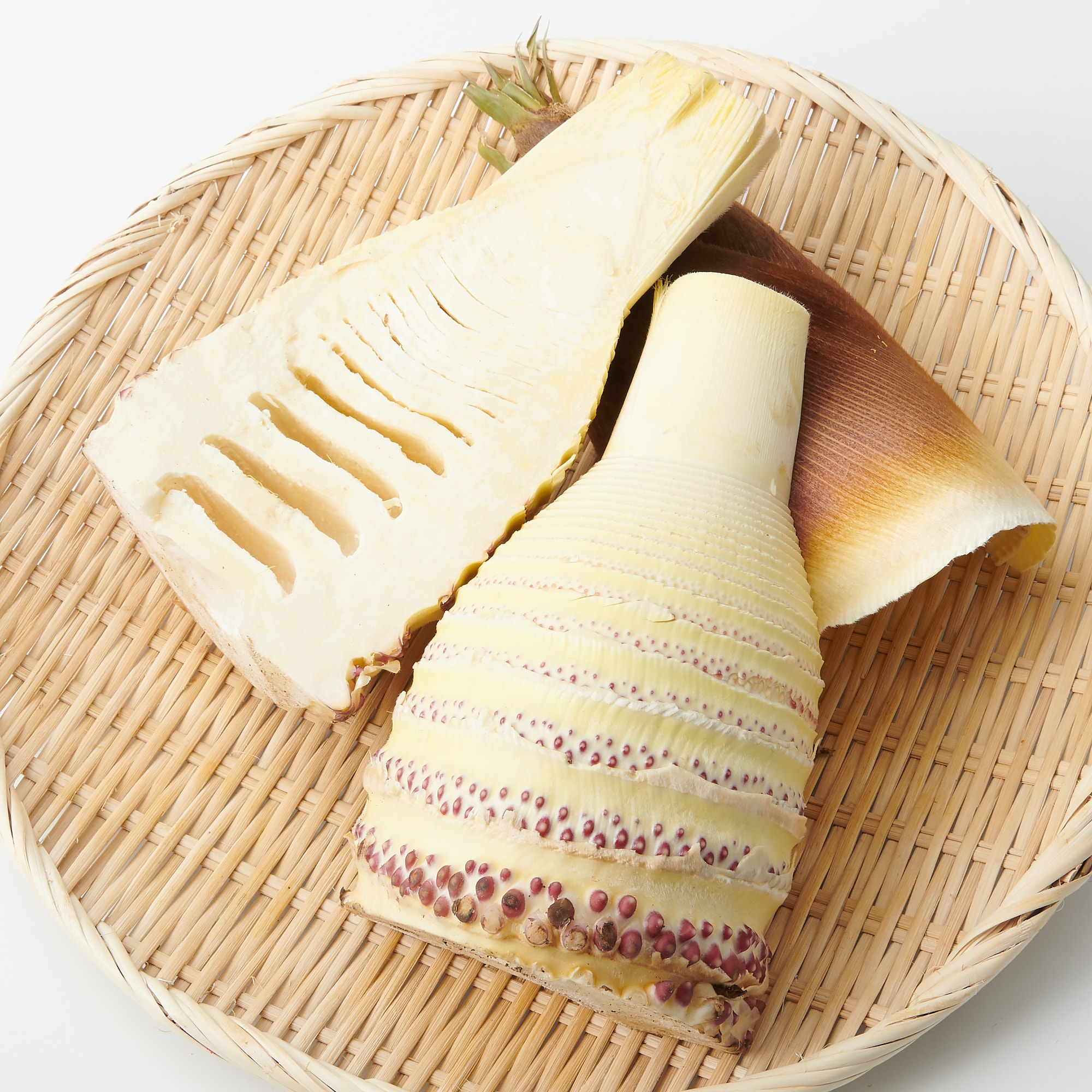 高知県産　朝採りたけのこ 約1.5ｋｇ