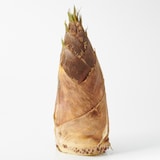 高知県産　朝採りたけのこ 約1.5ｋｇ