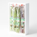 佐賀県産　橋本さん家のアスパラガス「グリーン＆紫ミックス」家庭用・1kg