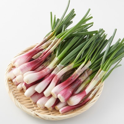 鳥取県産 砂丘土壌の紫エシャロット 根切り 約５００ｇ 諸国良品 旬のやさい 通販 無印良品