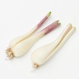 鳥取県産 浜根農園の「らっきょう」（根付き）　約５００ｇ