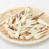 鳥取県産 浜根農園の「らっきょう」（根付き）　約５００ｇ