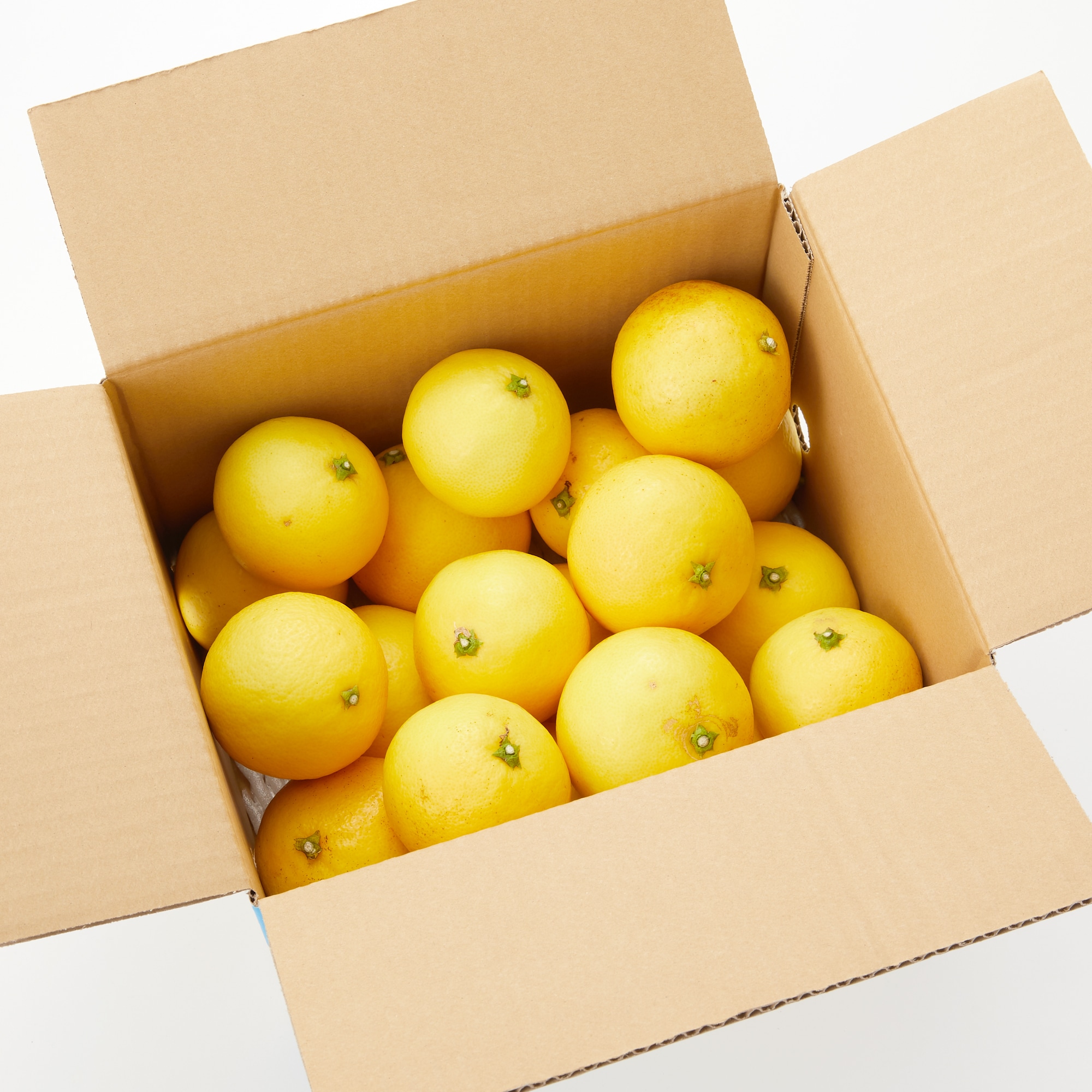 愛媛県西宇和産「ニューサマーオレンジ」 家庭用・約2.5ｋｇ