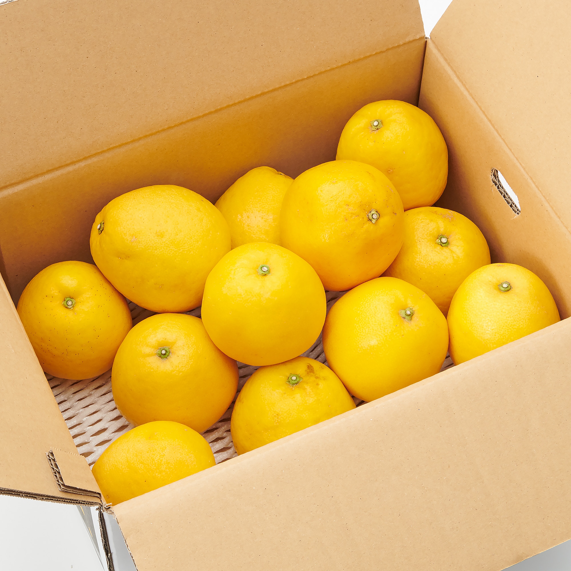 愛媛県西宇和産「河内晩柑」家庭用サイズ混合・約3.5ｋｇ