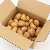 長崎県産　紅葉倶楽部の馬鈴薯（新じゃが）　約３ｋｇ