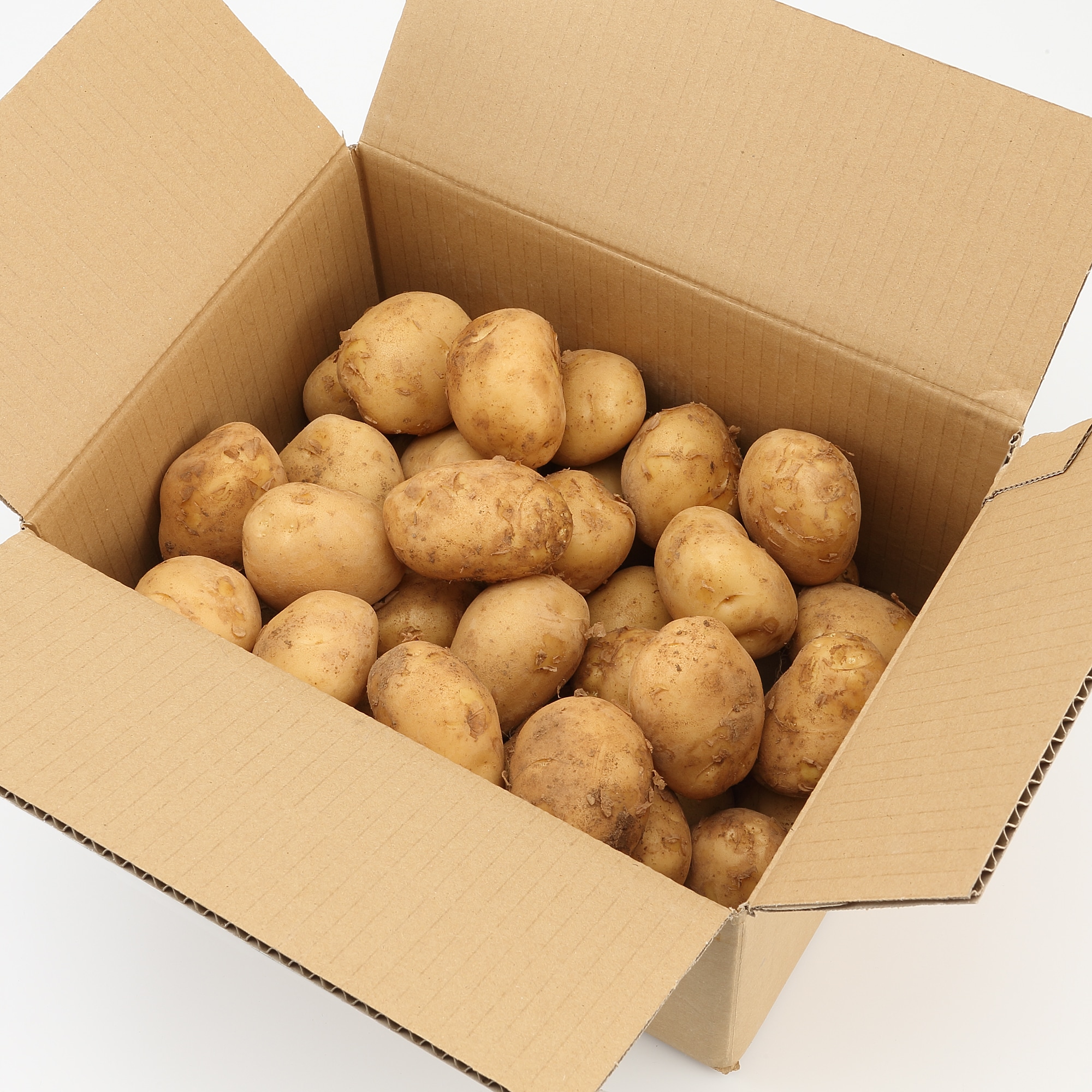 長崎県産　紅葉倶楽部の馬鈴薯（新じゃが）　約３ｋｇ