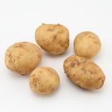 長崎県産　紅葉倶楽部の馬鈴薯（新じゃが）　約３ｋｇ