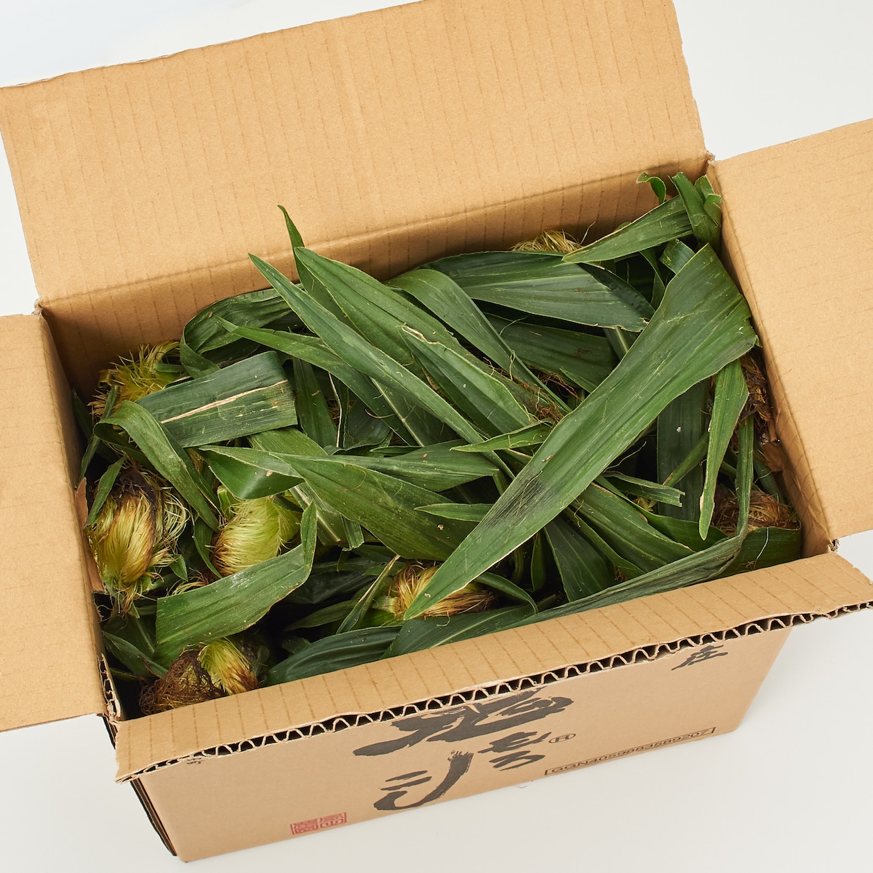 新潟県産　島田農園のとうもろこし「鬼もろこし」約５ｋｇ（１０～１２本）