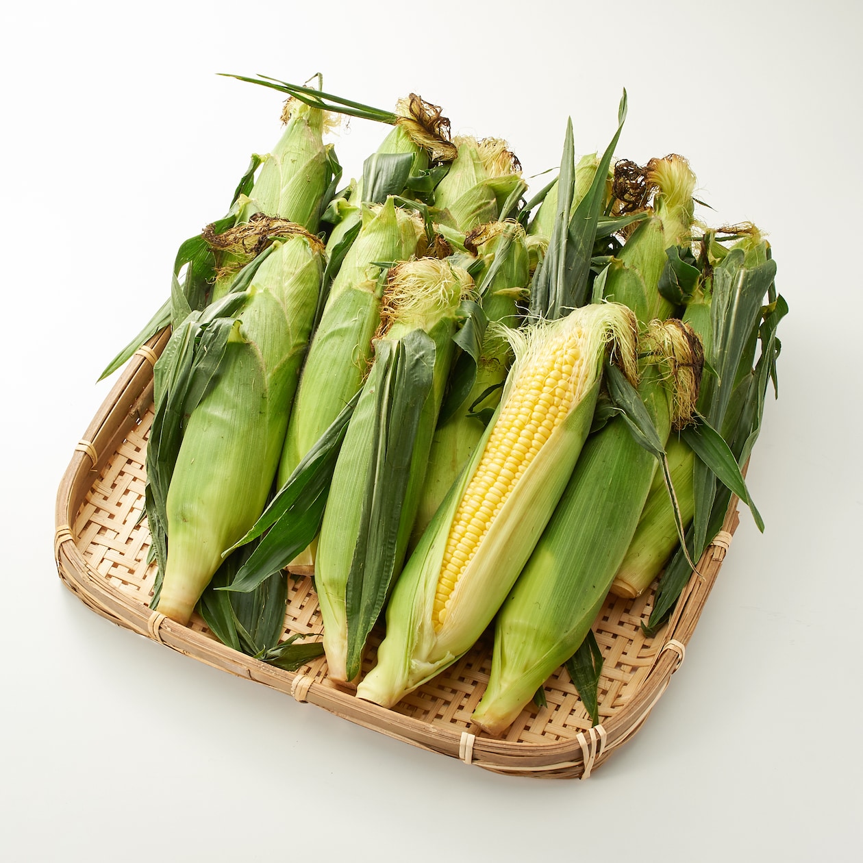 新潟県産　島田農園のとうもろこし「鬼もろこし」約５ｋｇ（１０～１２本）