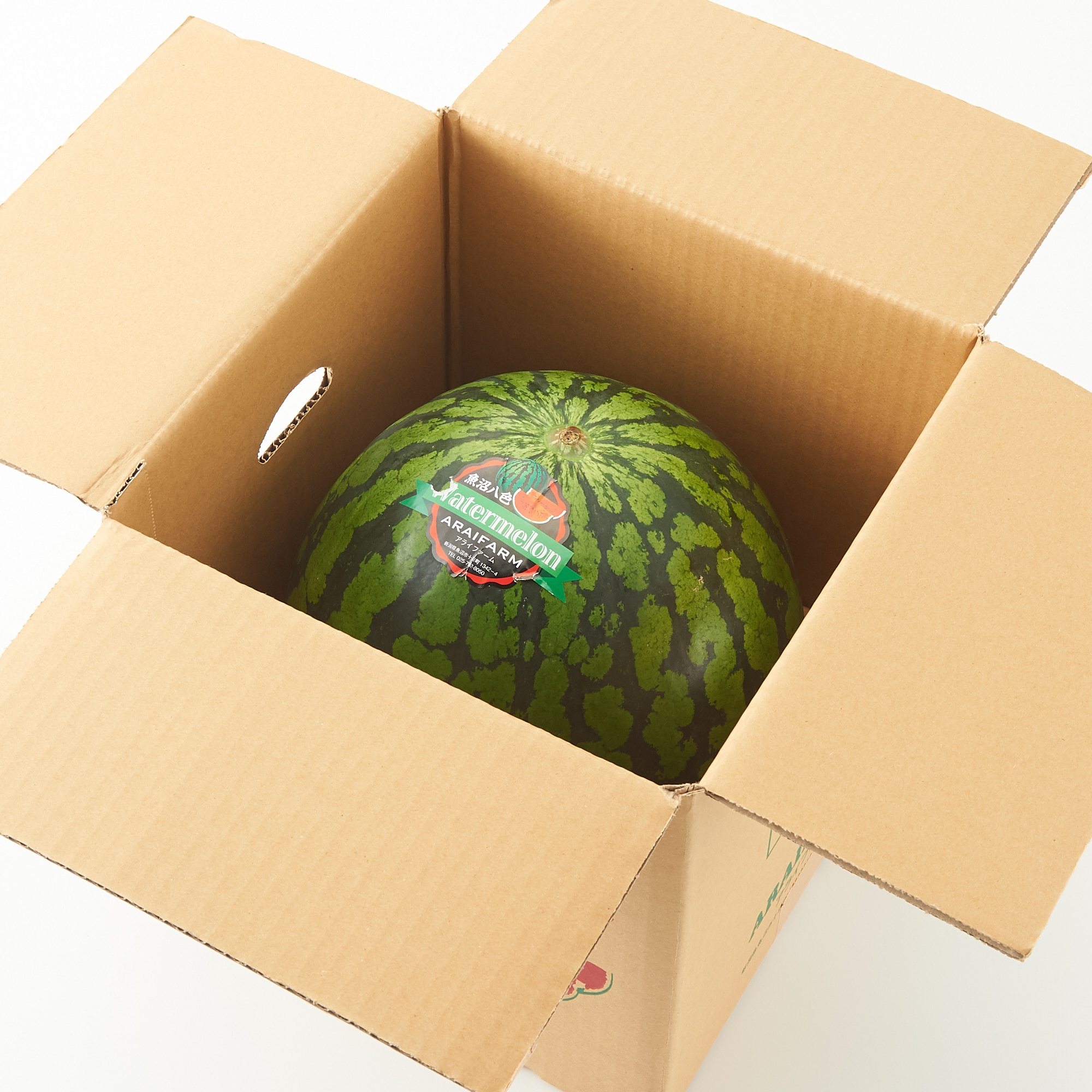 新潟県産 荒井ファームの「八色産スイカ」大玉・約6～7kg（1玉