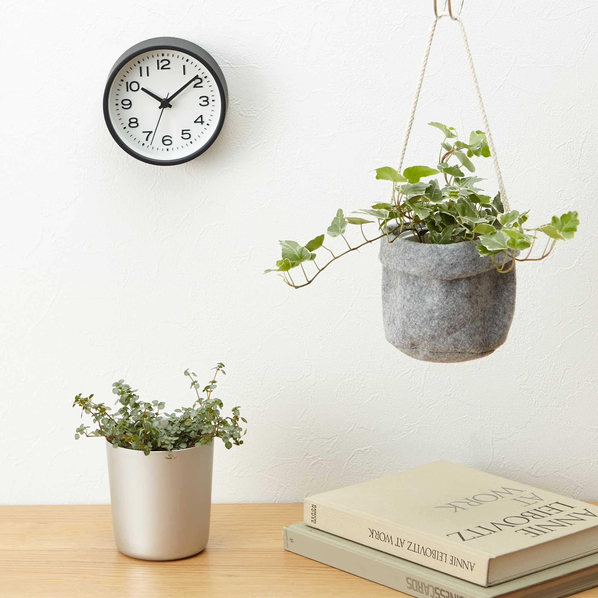 まとめ買い】底面給水鉢の観葉植物・3号 | 無印良品