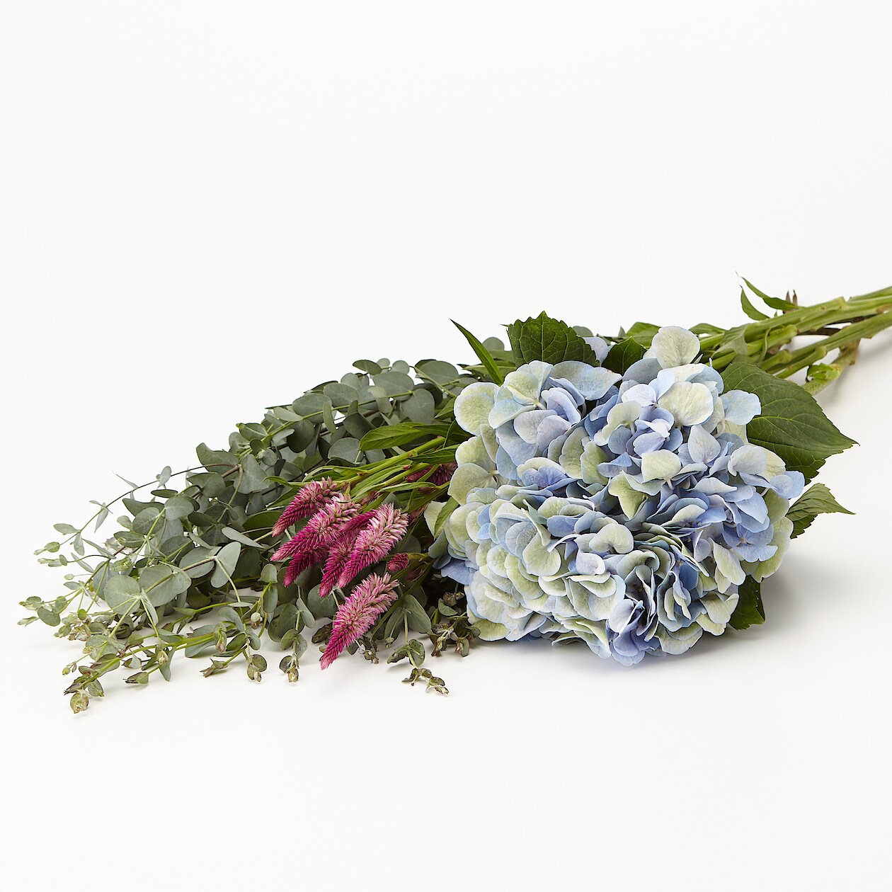 ドライでも楽しめる枝と花 ユーカリと花 ３種 ａ 生花 通販 無印良品