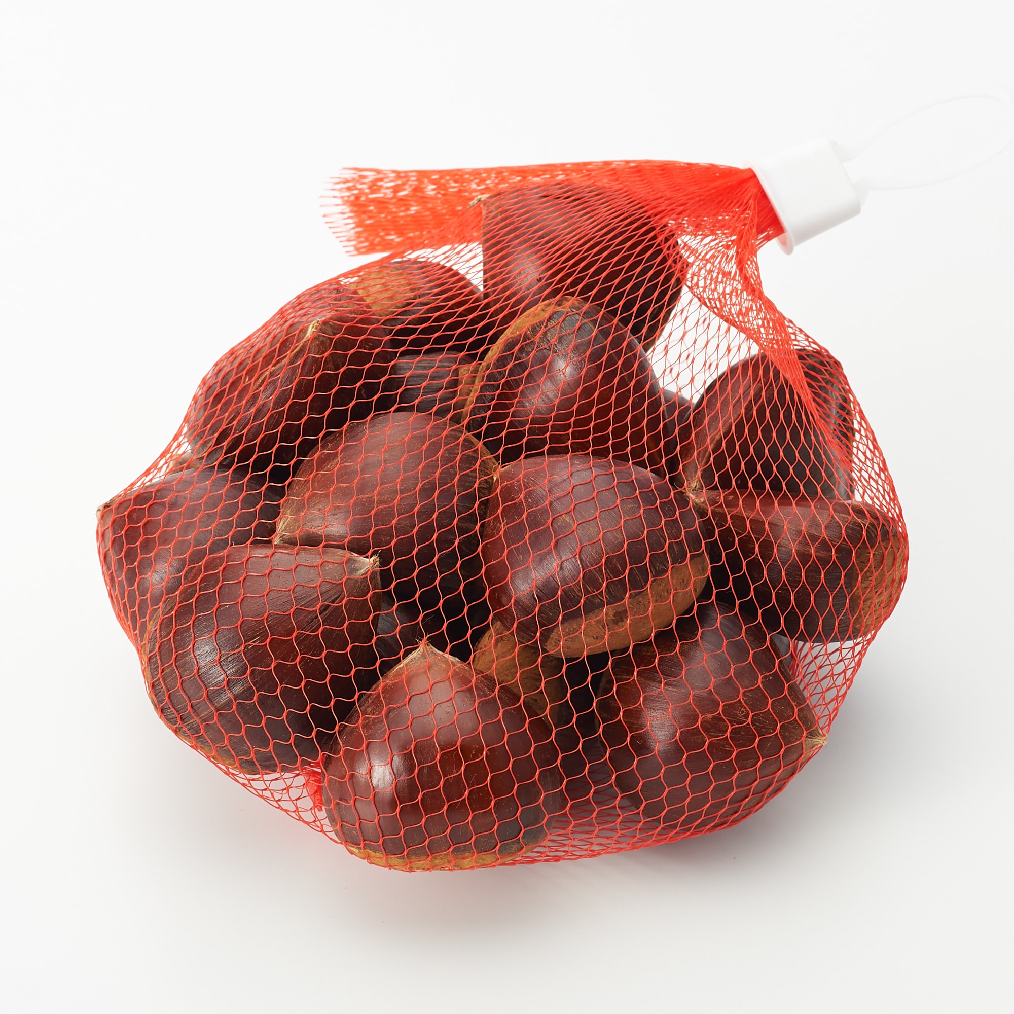 1.2kg フラワー・ガーデニング ⭐︎ よぴ様専用⭐︎ 茨城県 笠間の栗 むき