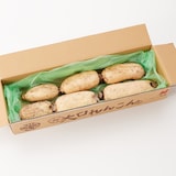 新潟県産　だるまレンコン　家庭用・約２ｋｇ