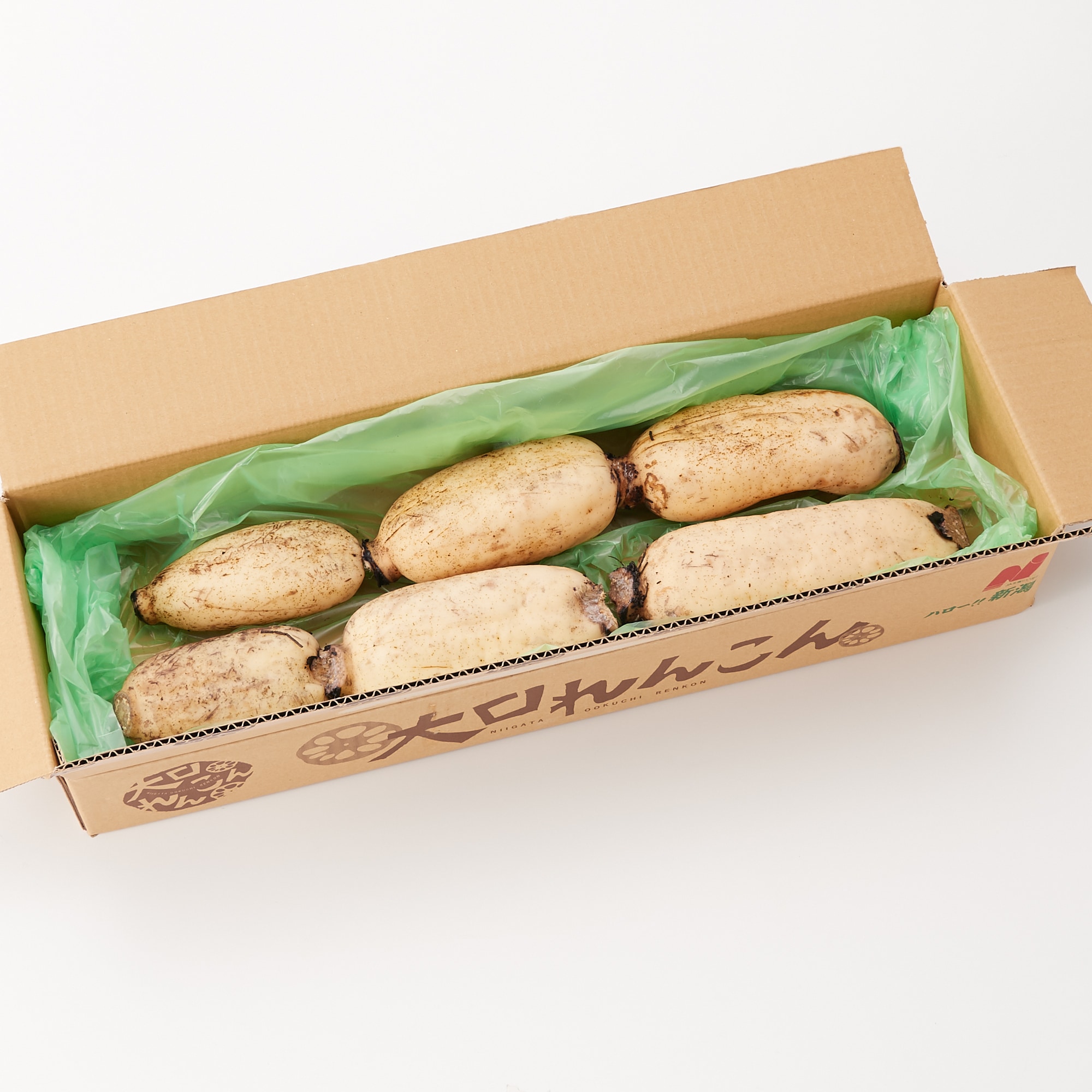 新潟県産　だるまレンコン　家庭用・約２ｋｇ