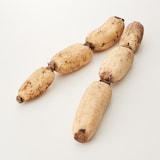 新潟県産　だるまレンコン　家庭用・約２ｋｇ