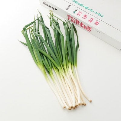 兵庫県朝来市産　ＮＯＵＥＮの「岩津ねぎ」　サイズ無選別　約１ｋｇ