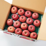 信州小布施町産　川上農園の完熟りんご「サンふじ」家庭用・約５ｋｇ（12～20玉）