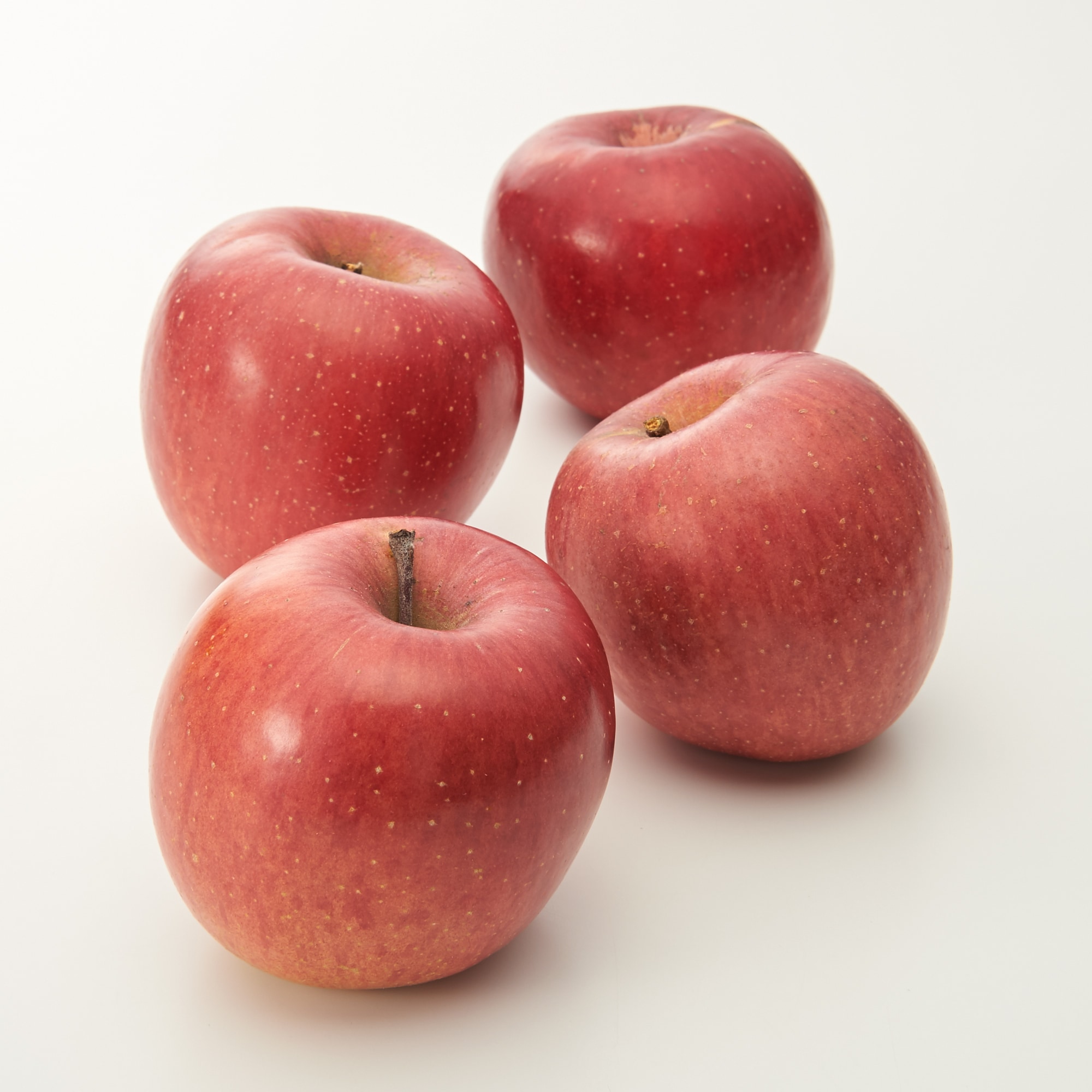 信州小布施町産　川上農園の完熟りんご「サンふじ」家庭用・約５ｋｇ（12～20玉）