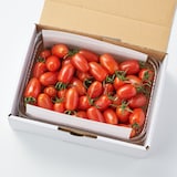 茨城県産　小菅農園のミニトマト「マドンナ」約１ｋｇ
