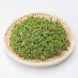 岐阜県産　飛騨山椒の「花山椒と新芽」　約１００ｇ