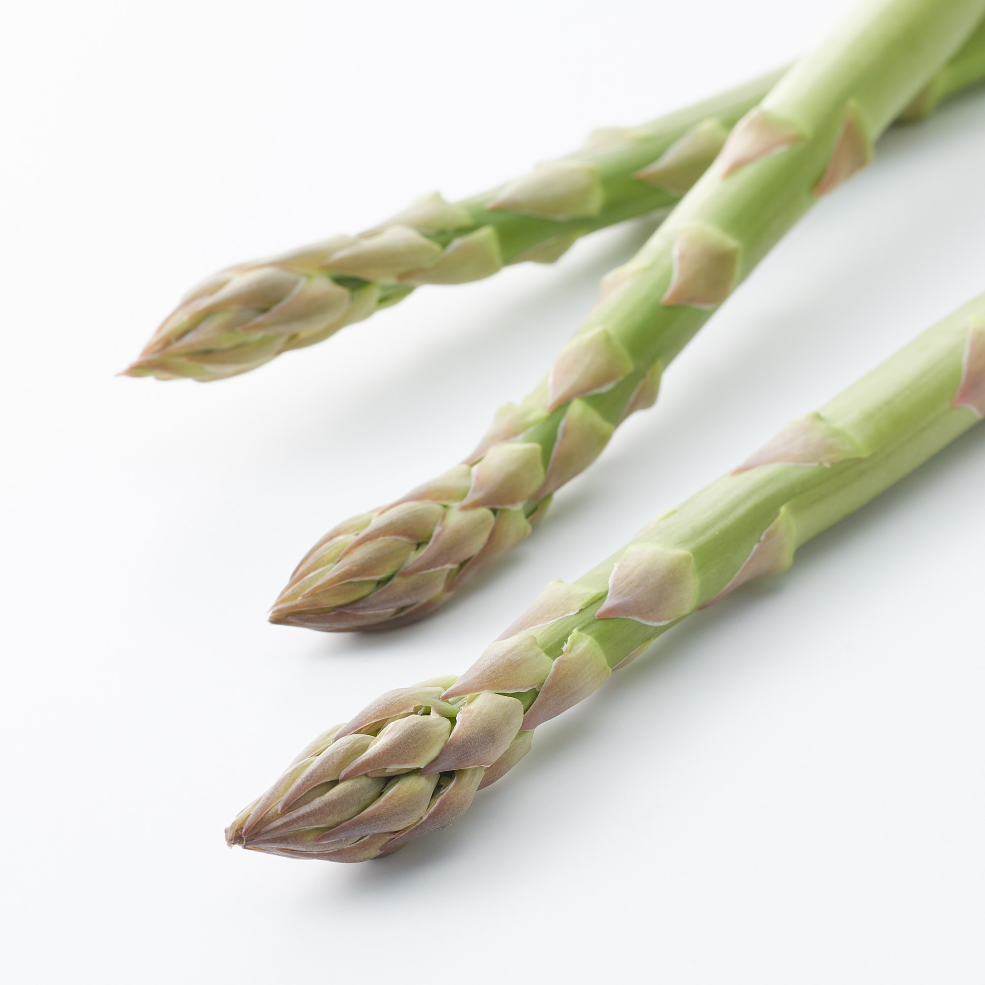 新潟県産飯塚農園の「アスパラガス」約１ｋｇ