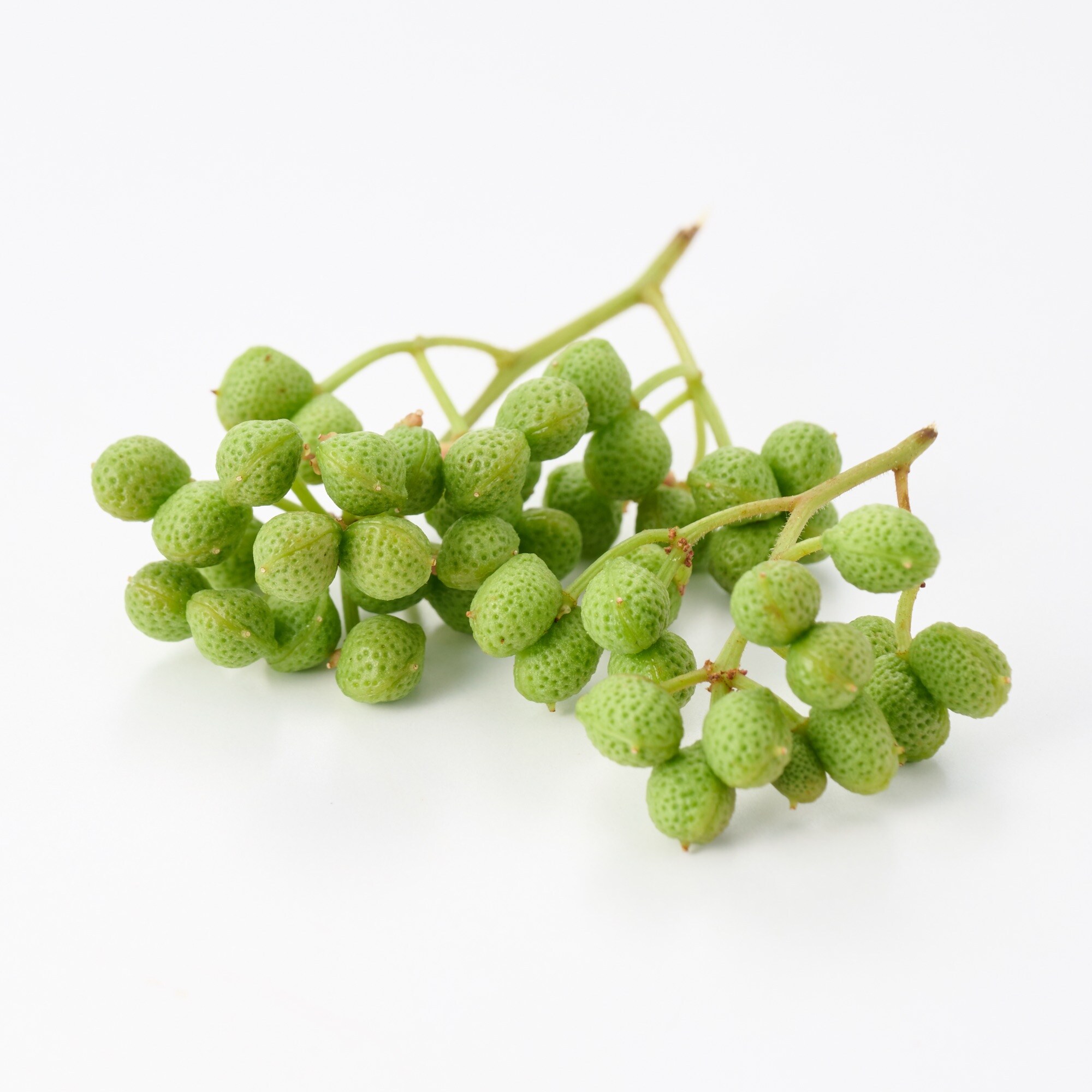 飛騨山椒 実山椒 約100g | 無印良品