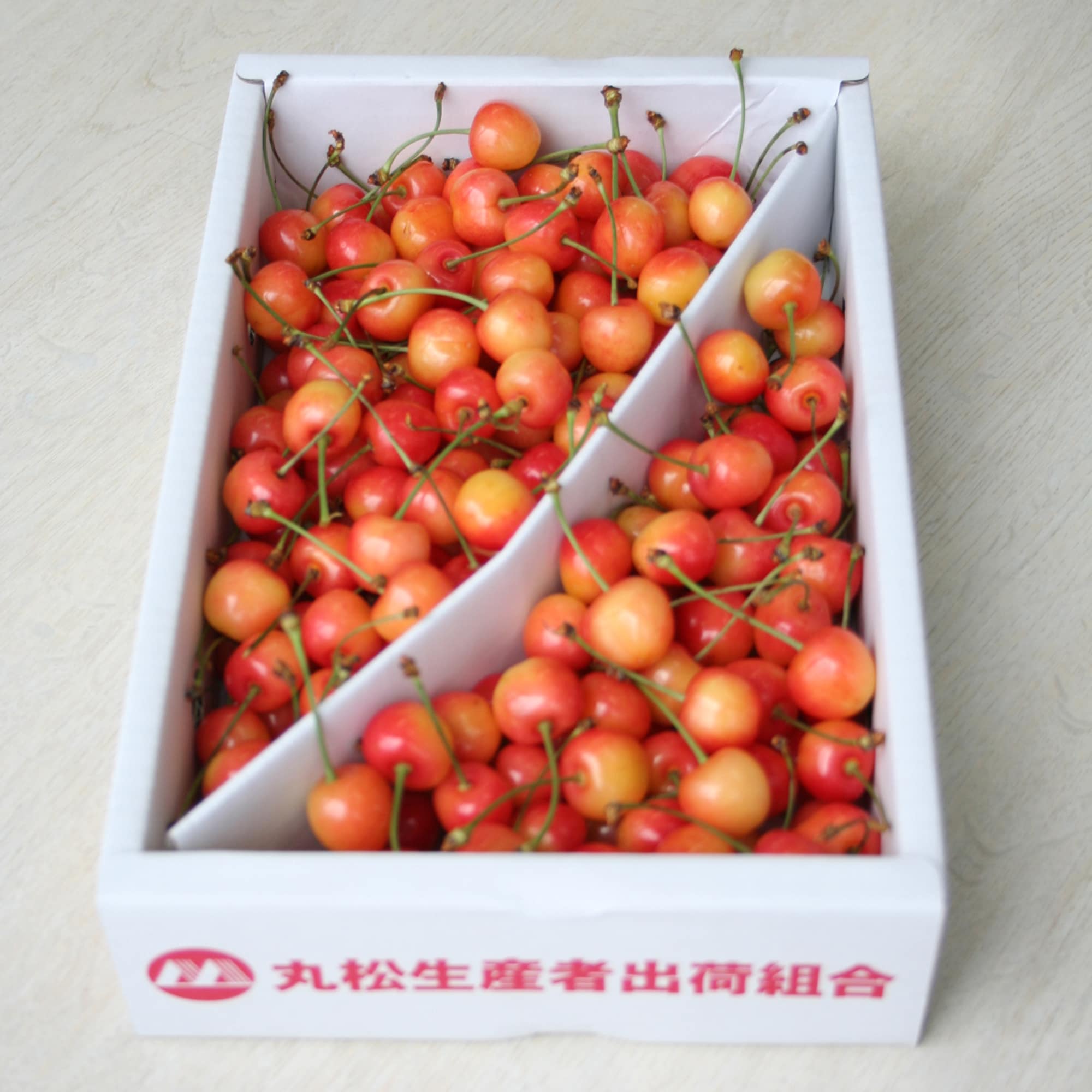 山形県産 丸松農園のさくらんぼ「紅秀峰」家庭用・1kg（秀L