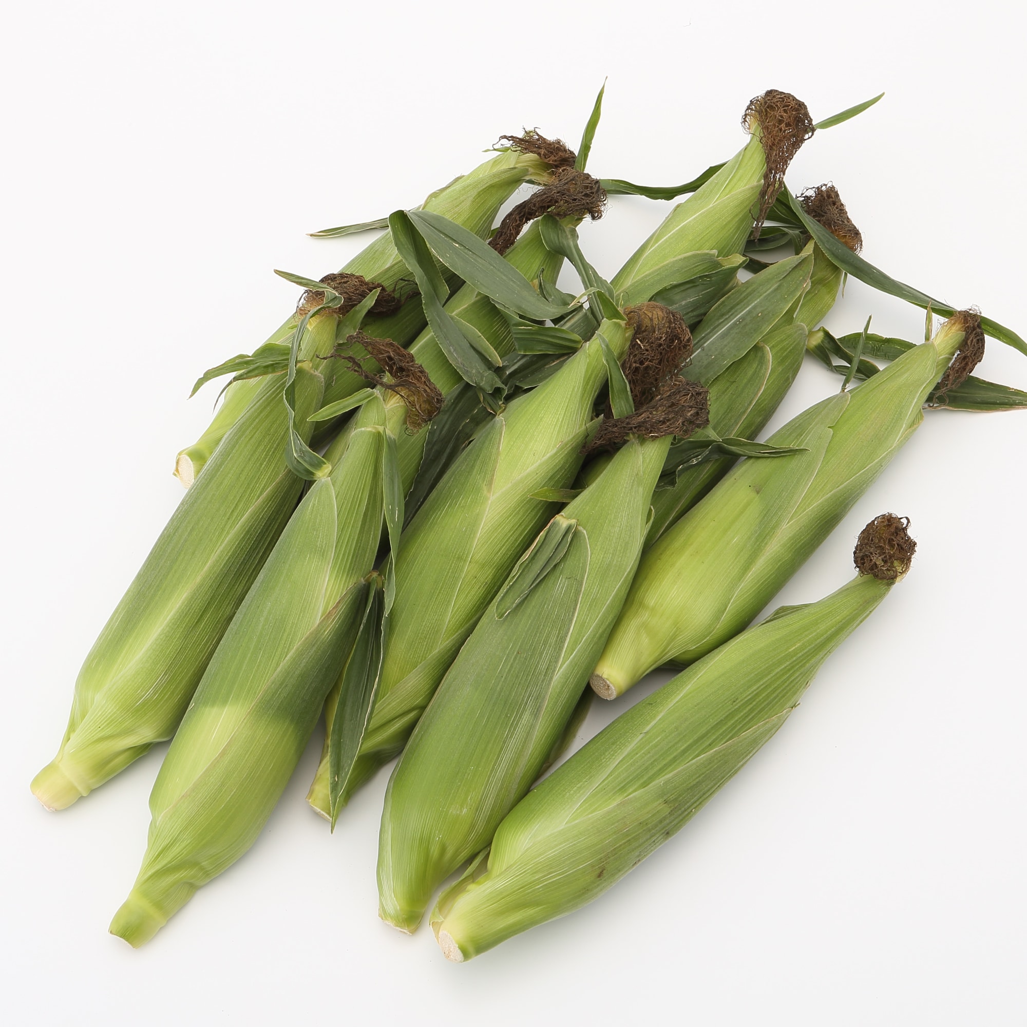 千葉県産　安西農園のとうもろこし「味来」　１０本入り