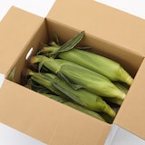 千葉県産　安西農園のとうもろこし「味来」　１０本入り