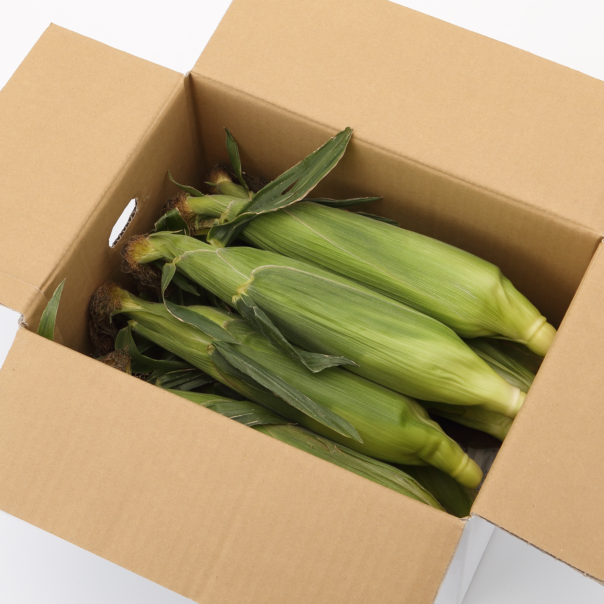 千葉県産　安西農園のとうもろこし「味来」　１０本入り