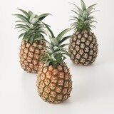 西表島産 西表島ひらい農園のパイナップル「ピーチパイン」　約１．５ｋｇ(２～３玉)