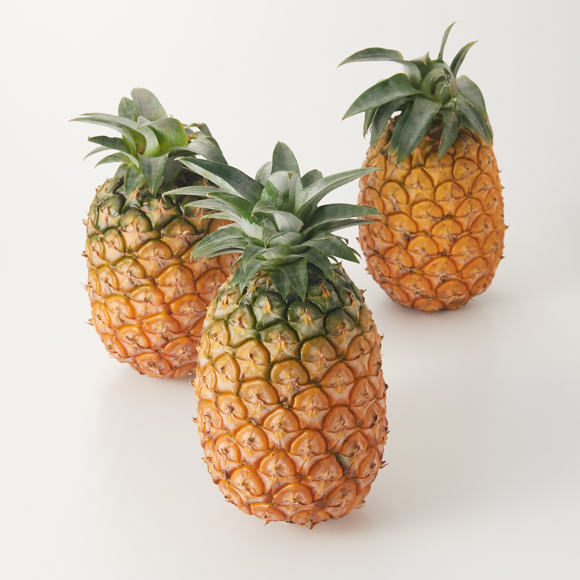 西表島産　西表島ひらい農園のパイナップル「島パイン（ハワイ種）」　約２ｋｇ（２～３玉）