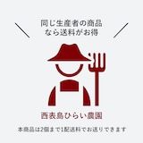 西表島産　西表島ひらい農園の「アップルマンゴー」約７００ｇ（２～３玉）
